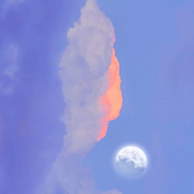 คริส พีรวัส avatar